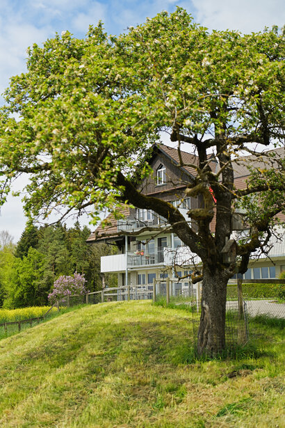 Stiftung Lerchenhof Homburg Wohnheim Wohnheim Lerchenhof